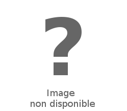 Boite de The Mighty Endeavor Expanded Edition